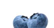 Blueberry